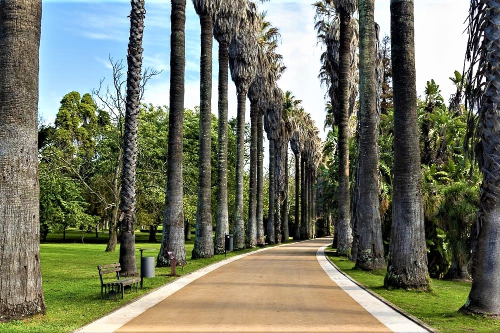 COLONIAL GARDEN OR OVERSEAS GARDEN IN BELÉM