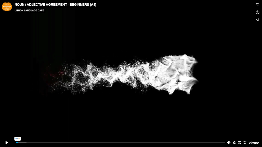 noun /adjetive agreement portuguese level A1